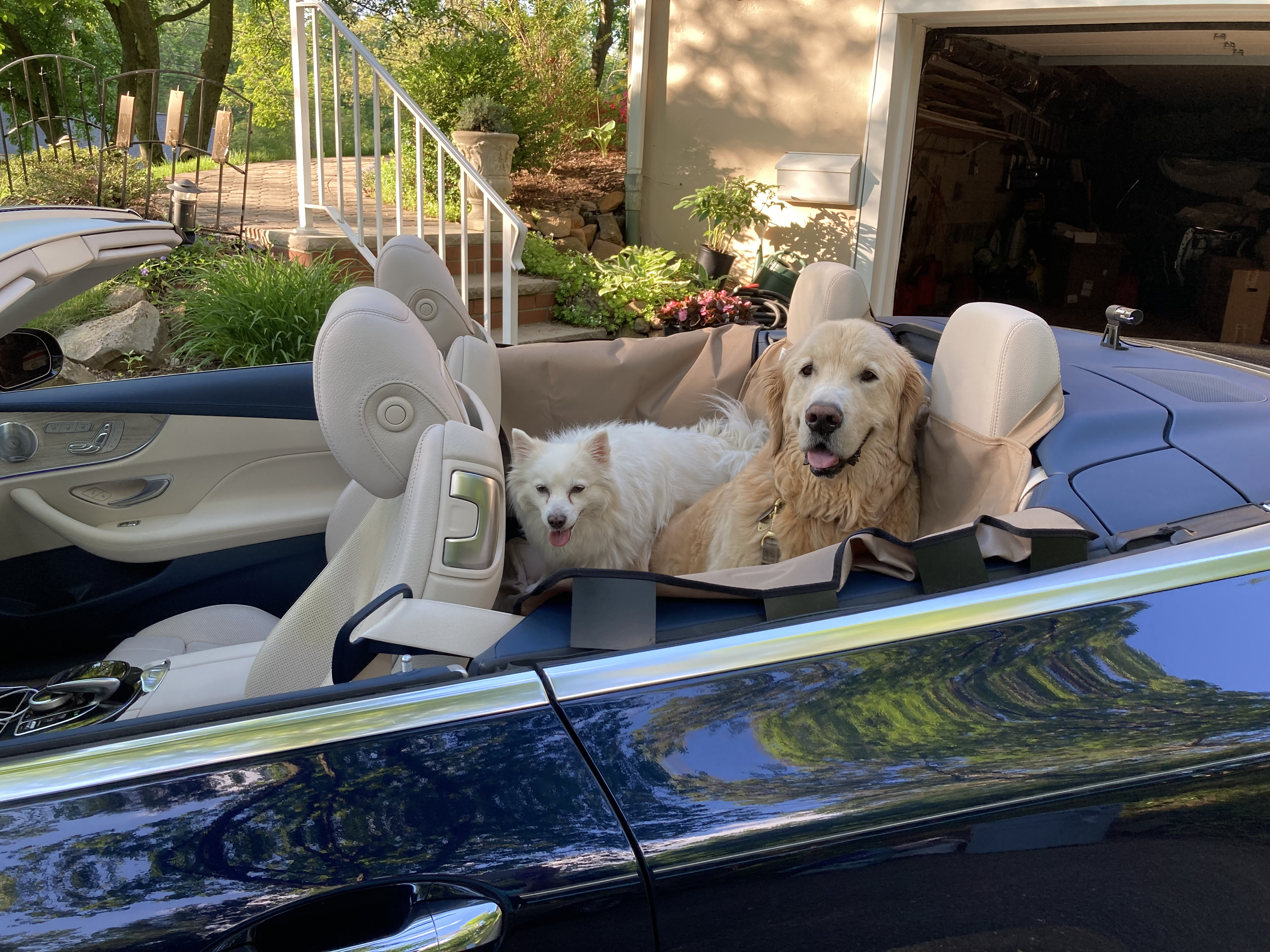 Tucker and Mason ready for a ride!