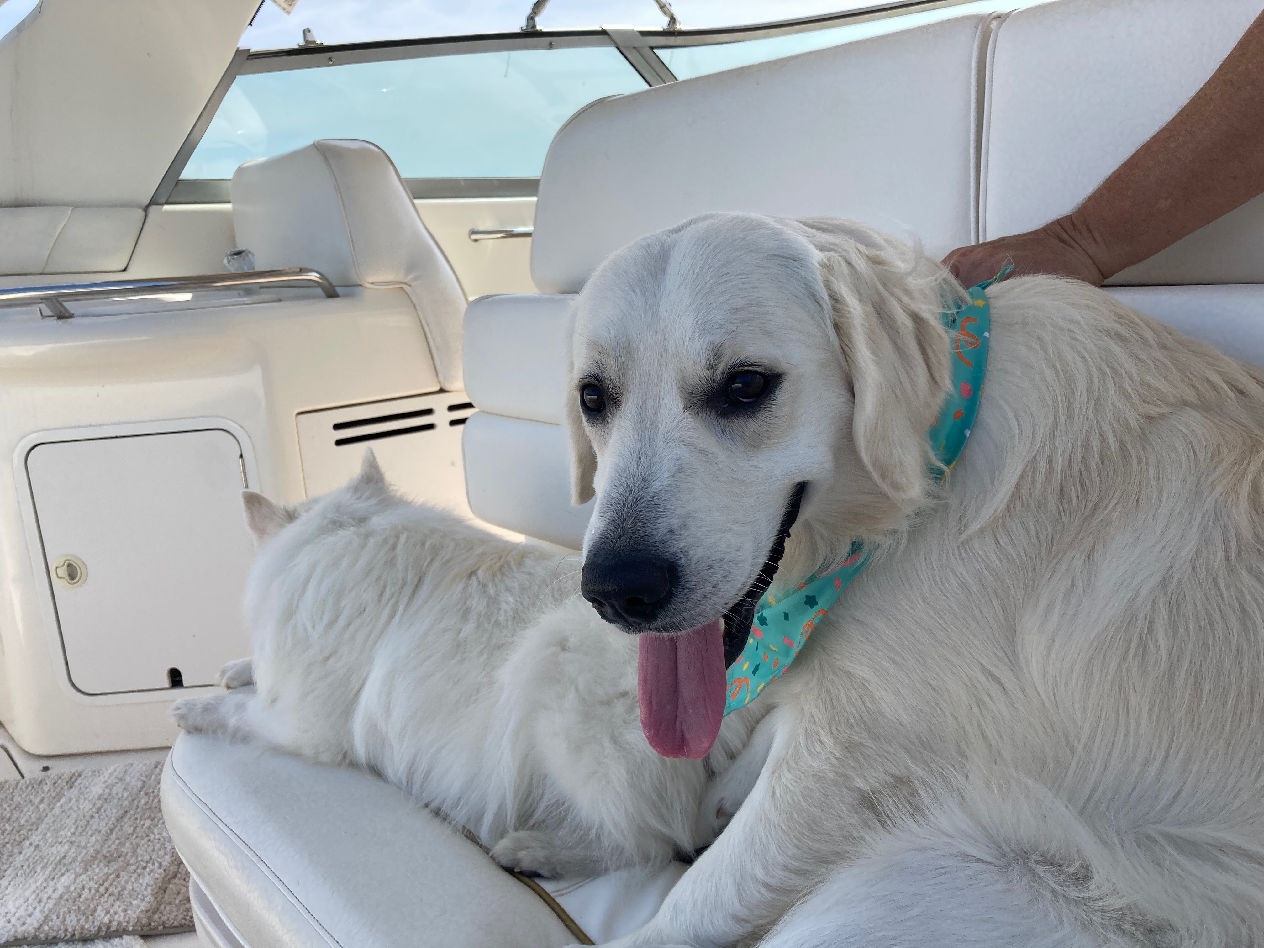 North with Tucker, on the boat